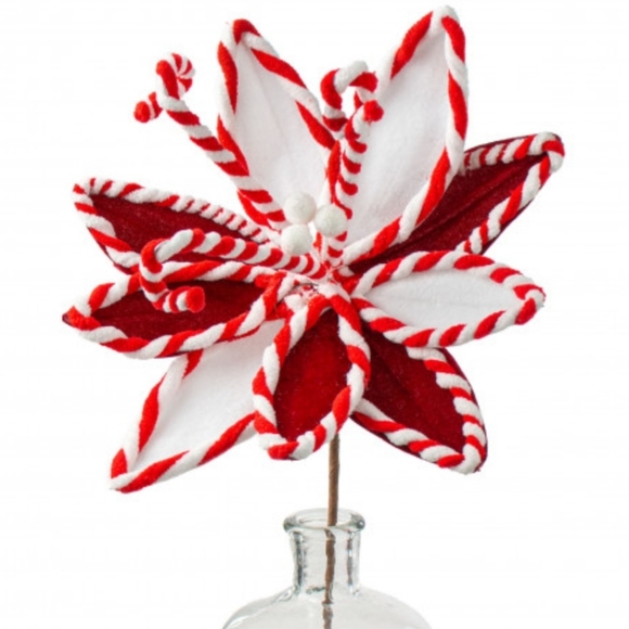 Peppermint Poinsettia - Picture 3 of 4